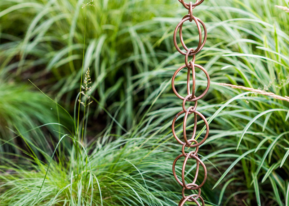Decorative Grasses And Rain Collection Rings