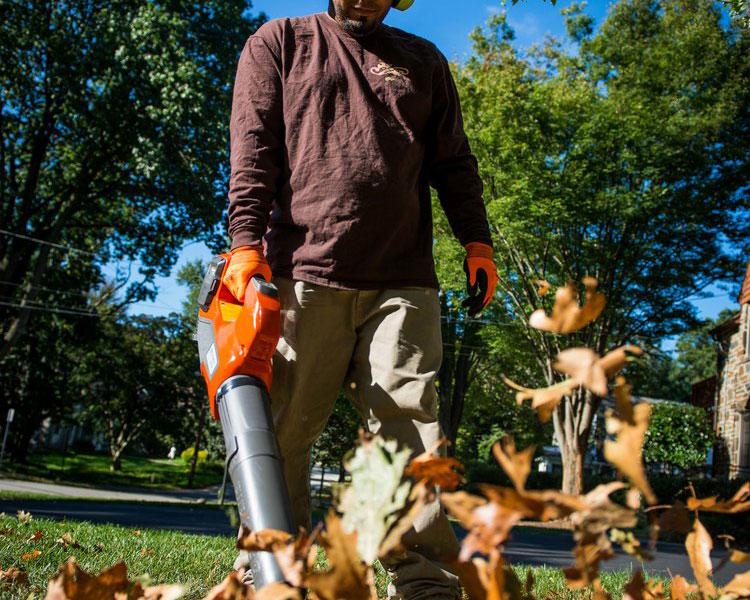 Electric Handheld Blower For Sustainable Landscape Maintenance