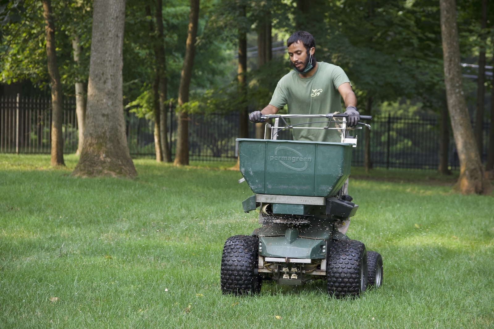 Aeration And Overseeding In Progress Landscape Worker Riding Aeration Machine On Grass