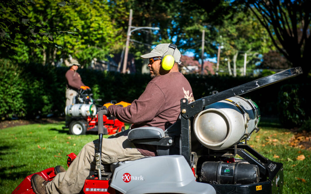 Landscape Maintenance 101: Standard Services