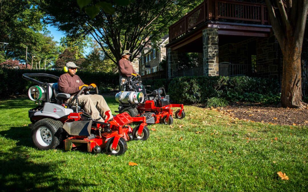 How To Cut Your Lawn Like A Pro